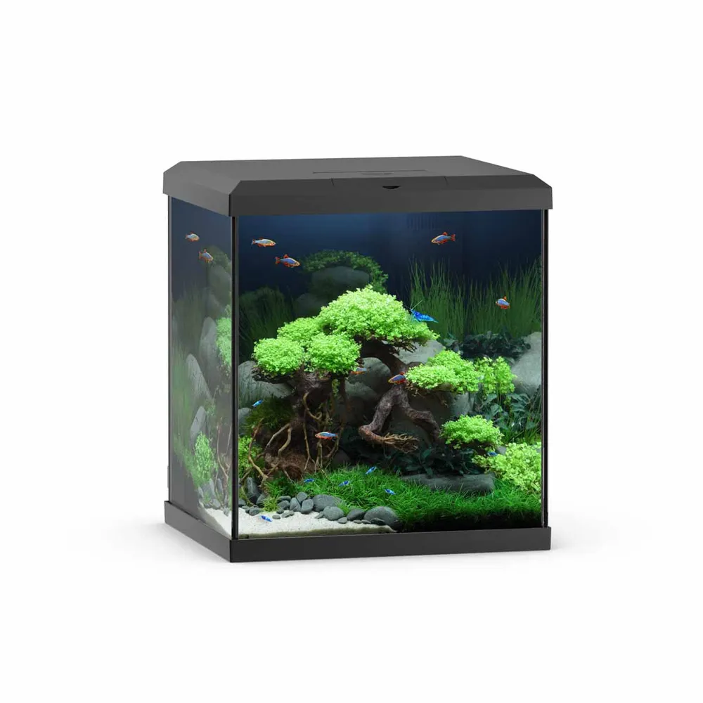 Juwel Akvarium Vio Cube 54 Sort 41x36x47 cm